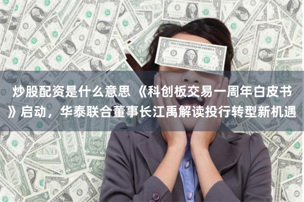 炒股配资是什么意思 《科创板交易一周年白皮书》启动，华泰联合董事长江禹解读投行转型新机遇